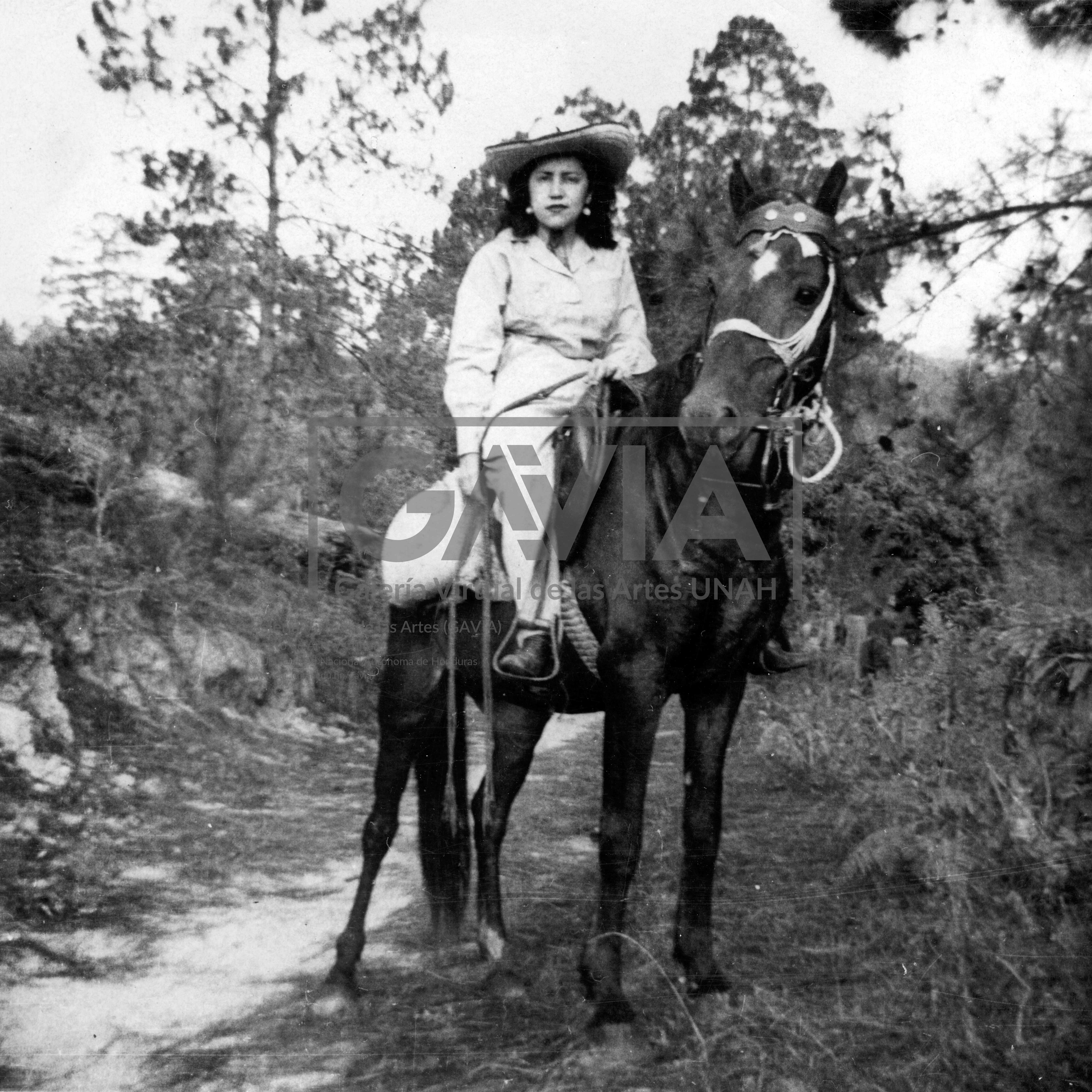 Marta Raudales Caballo